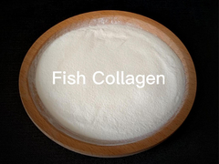 Collagen cá collagen biển peptide collagen thủy phân Collagen loại 1