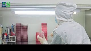 Dòng màng vỏ trứng ELASEM®: Giải pháp nguyên liệu thô cho sức khỏe & sắc đẹp chung