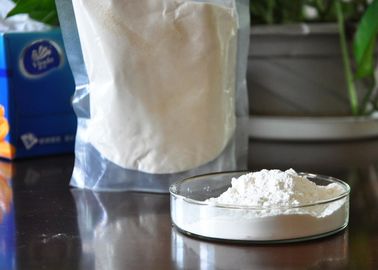 Bột thủy phân Collagen loại I / Fish Collagen cho thực phẩm bổ sung