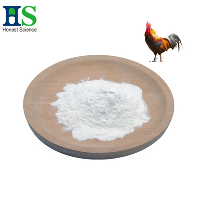 Chicken vú sụn Collagen Ii bột 40 lưới 80 lưới