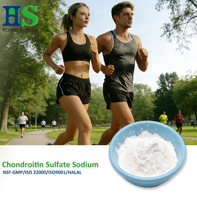Bột natri Chondroitin Sulfate được GMP phê chuẩn cho sức khỏe xương và khớp