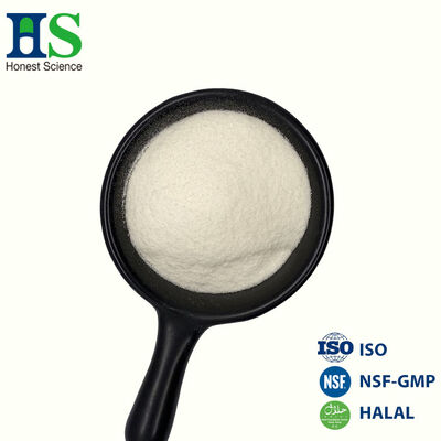 Nhà sản xuất peptide Collagen bò thủy phân số lượng lớn & Nhà cung cấp được chứng nhận Halal