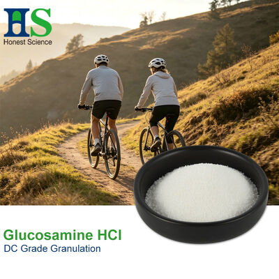 Bột HCl D-Glucosamine cấp dược phẩm | HS Nutra