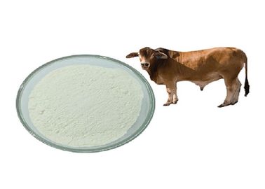 USP39 Lớp Chondroitin Sulfate Natri được chiết xuất từ ​​sụn bò cho sức khỏe chung