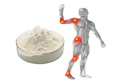 Bột trắng Cá mập Chondroitin Sulfate EP 95% Chăm sóc chung với GMP / DMF