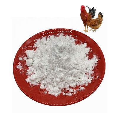 Điều trị viêm xương khớp Gà trắng xương ức Loại 2